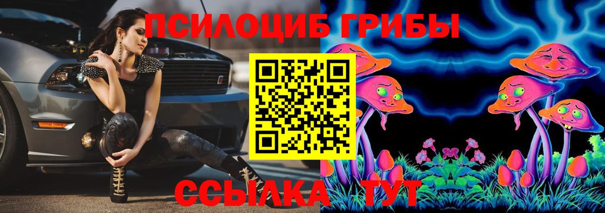 Галлюциногенные грибы Psilocybe  Вход с VPN  Псилоцибиновые грибы ЛСД  Мытищи 