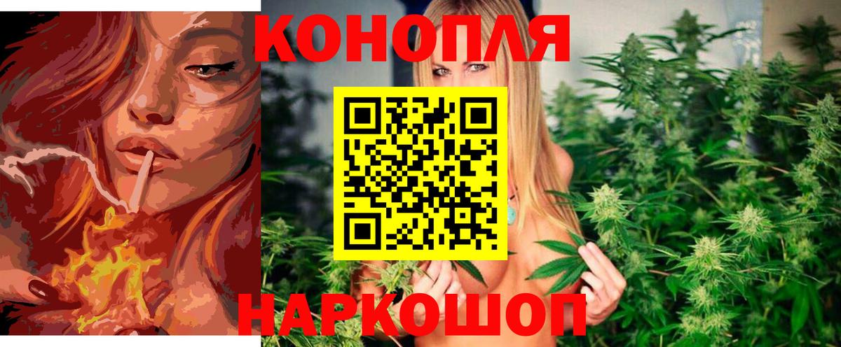 Конопля марихуана Мытищи